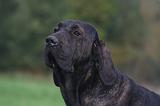 FILA BRASILEIRO 086